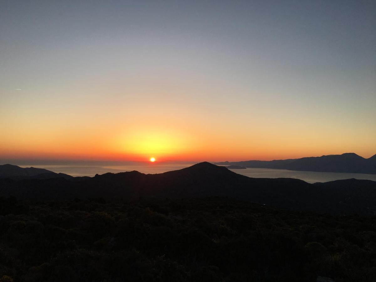 Fissi Villas Agritourism Accommodation Near The Sea アイオス・ニコラオス エクステリア 写真