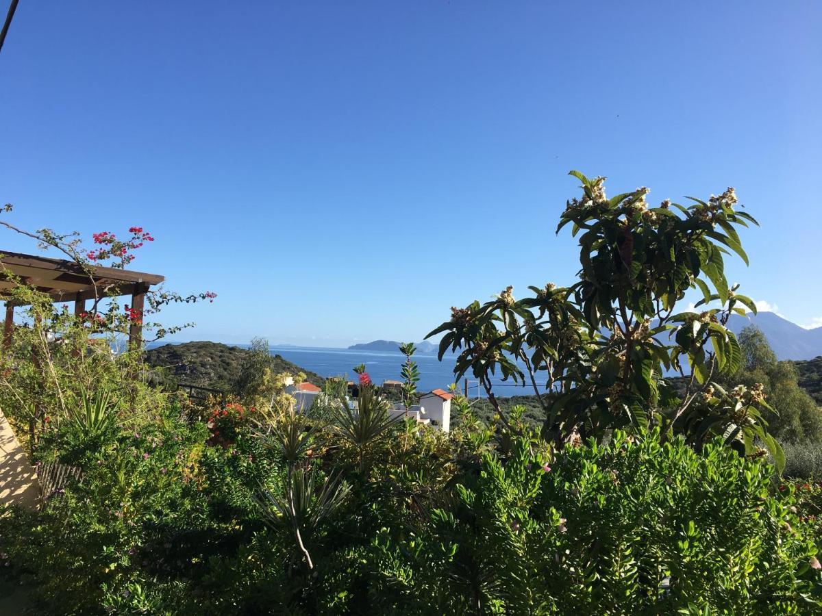 Fissi Villas Agritourism Accommodation Near The Sea アイオス・ニコラオス エクステリア 写真