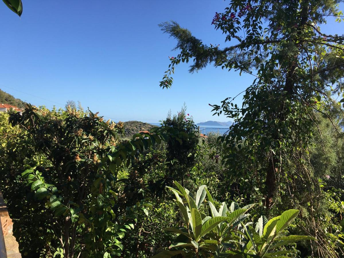 Fissi Villas Agritourism Accommodation Near The Sea アイオス・ニコラオス エクステリア 写真