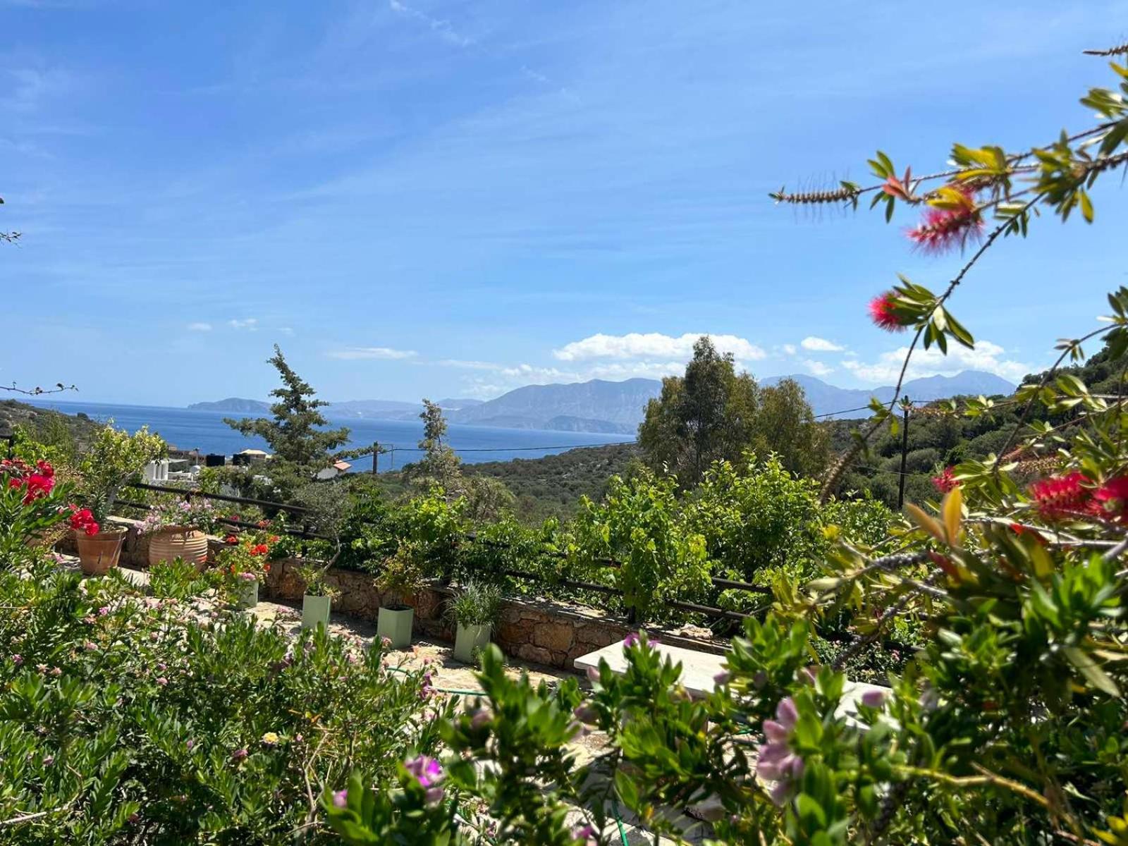 Fissi Villas Agritourism Accommodation Near The Sea アイオス・ニコラオス エクステリア 写真