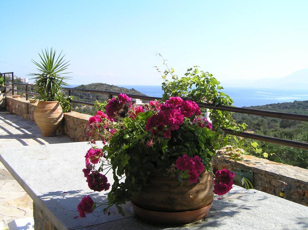 Fissi Villas Agritourism Accommodation Near The Sea アイオス・ニコラオス エクステリア 写真